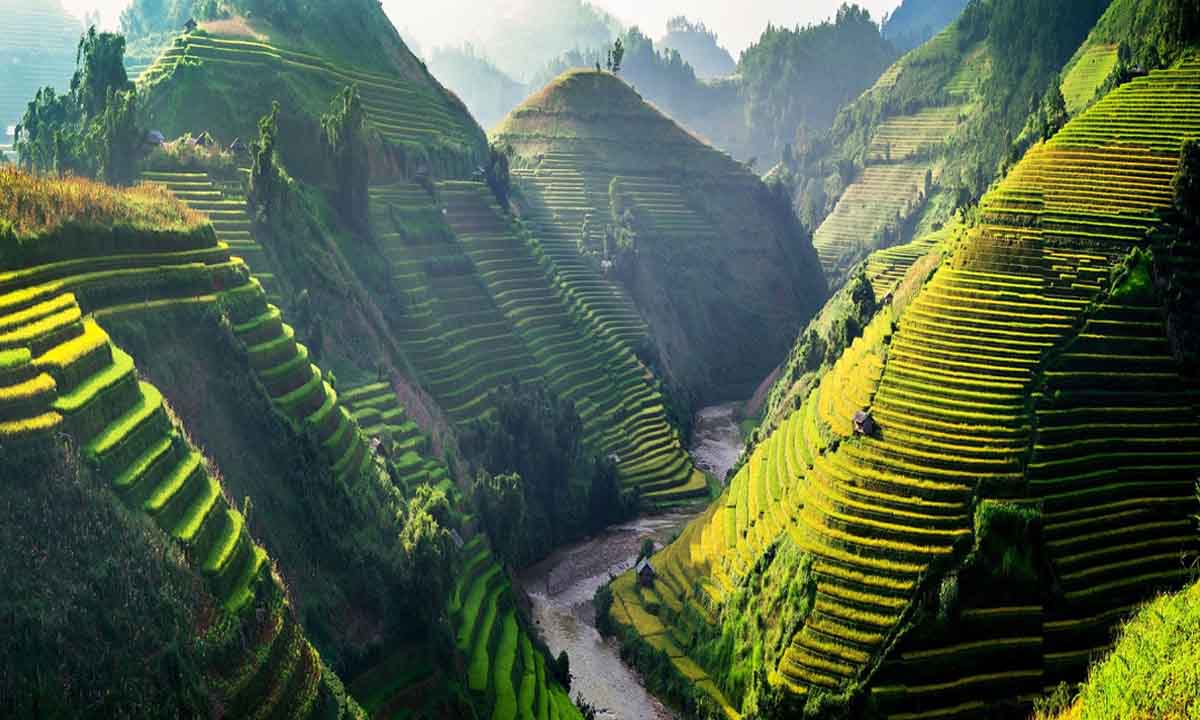 Book Thai Airways Flights Norway to Vietnam | Affordable Airfares