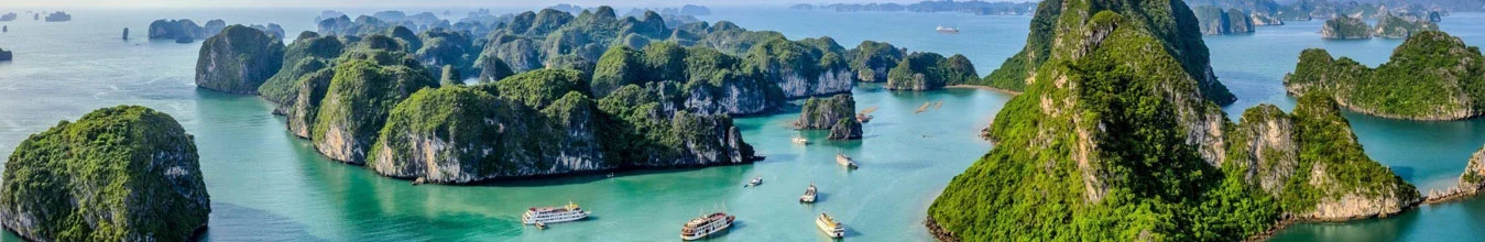 Sign In to Your GoVietnam Account